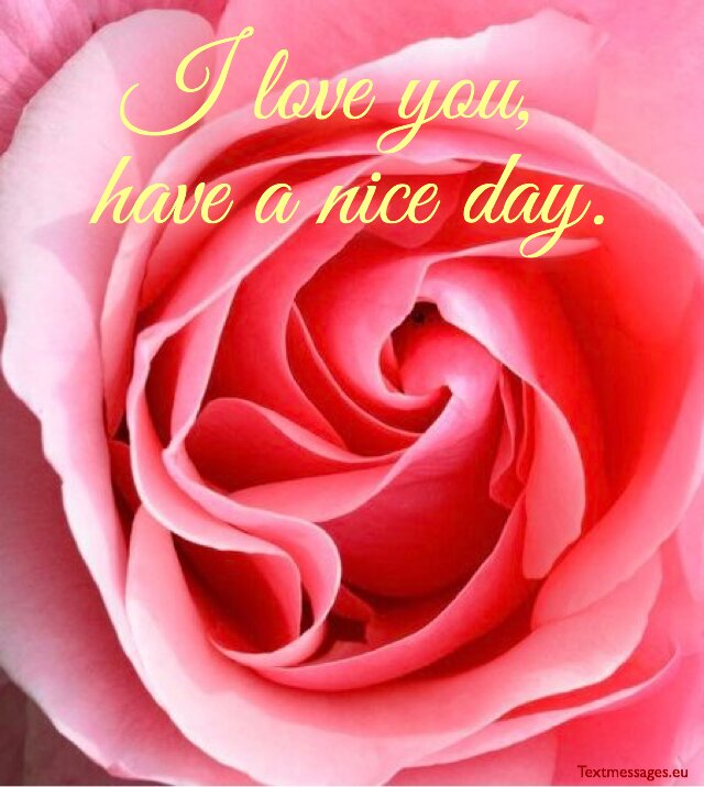 have a wonderful day my love Top 70 Romantic Good Morning Messages For Lover (With Images)