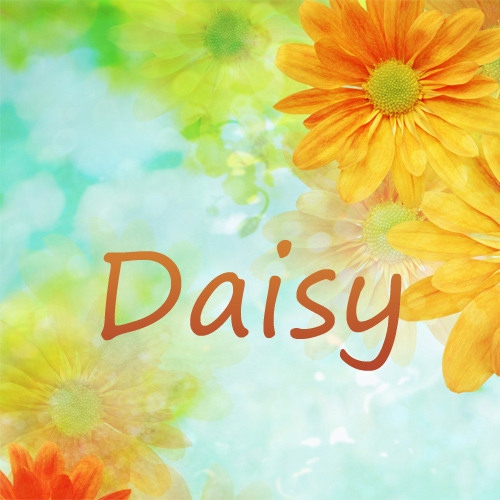 Pictures with name Daisy.