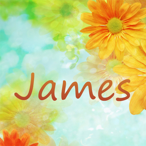 Pictures with name James.