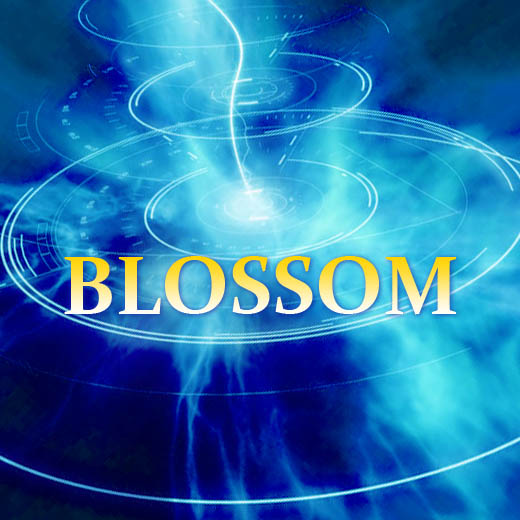 Pictures with name Blossom.