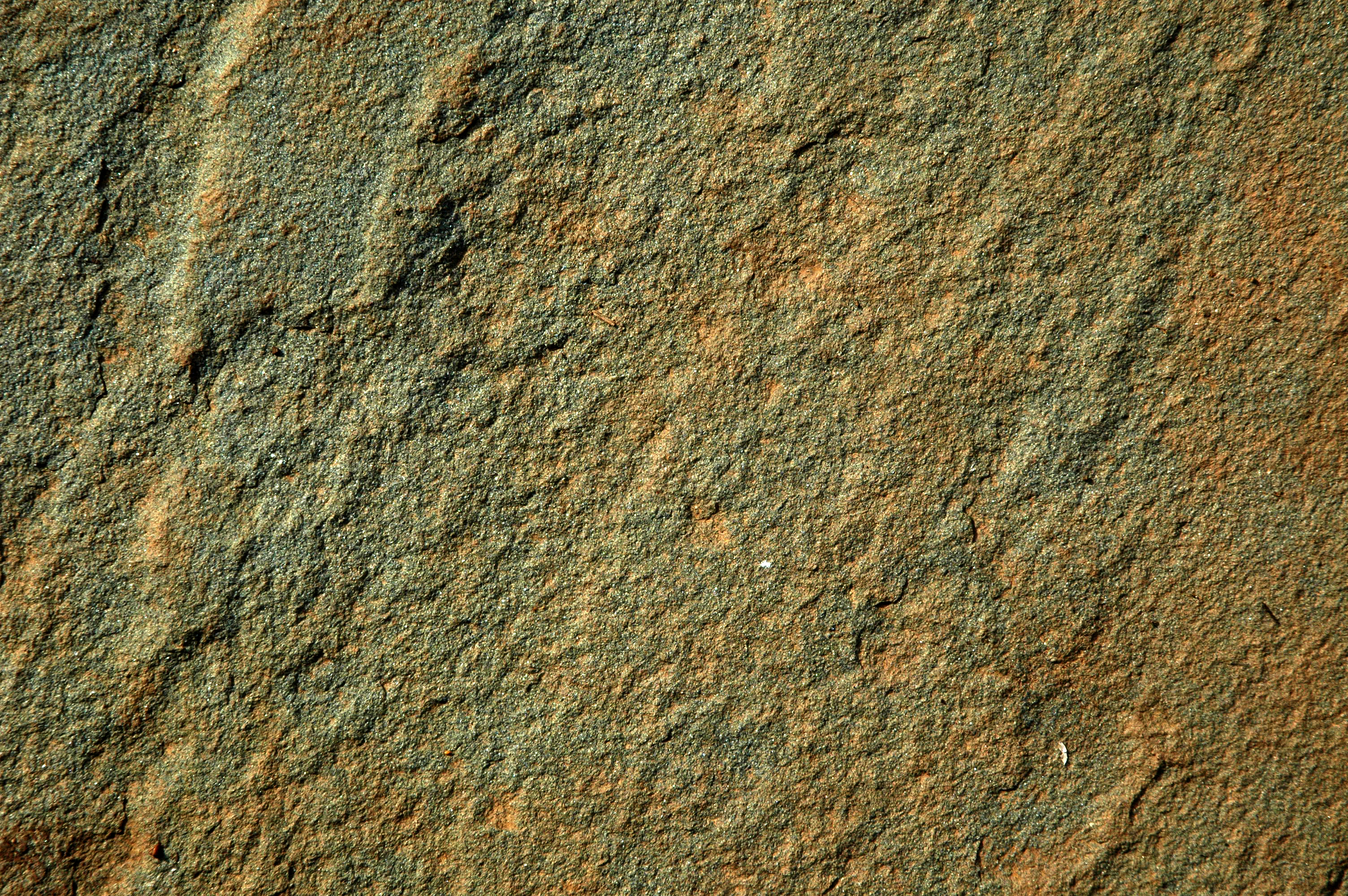 Free » DSC_4402 Textures from TextureKing