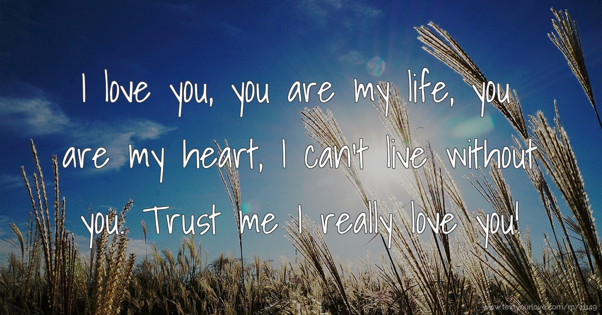 I love you, you are my life, you are my heart, I can't... Text