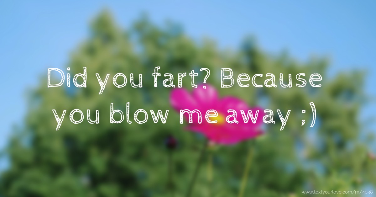 Did you fart? Because you blow me away ;) Text Message by Toxicglop
