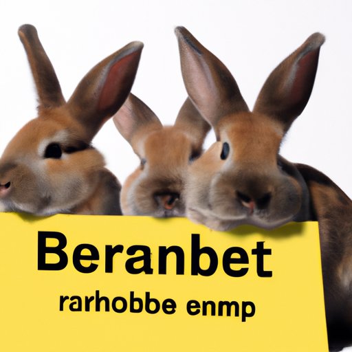 How Much Does a Rabbit Cost? Understanding the Costs of Owning a Pet