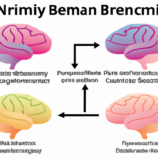 Exploring What Part of the Brain Controls Decision Making The