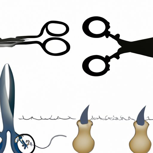 When Were Scissors Invented? A Historical Exploration of a Common