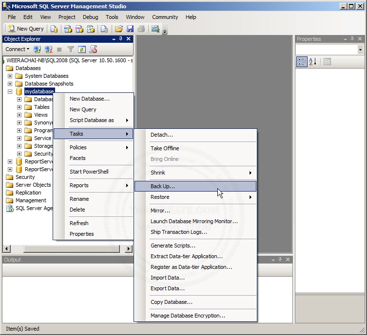 SQL Server 2008 Export & Backup