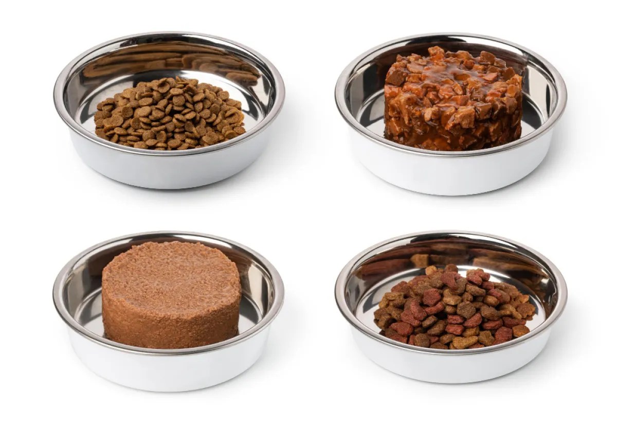 Did You Know? Thailand's vibrant pet food industry ranks as the 4th