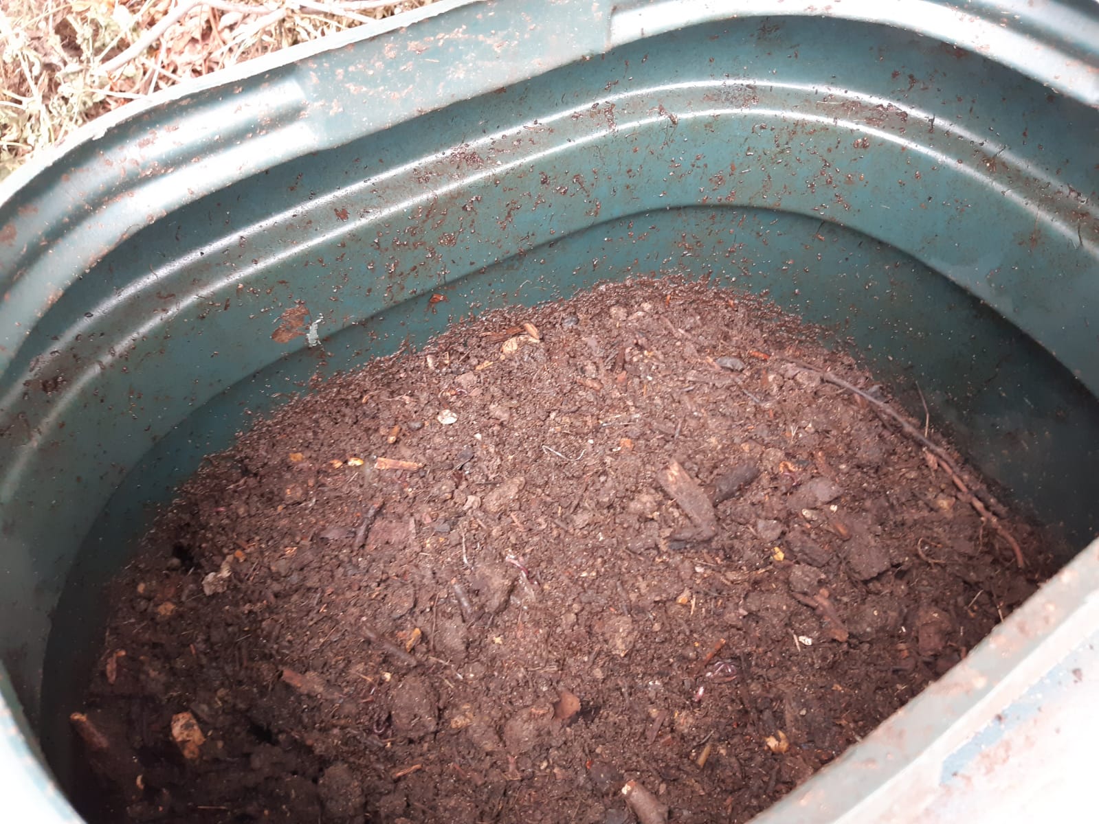 July 2022 Compost Management and Insect Identification Thames Chase