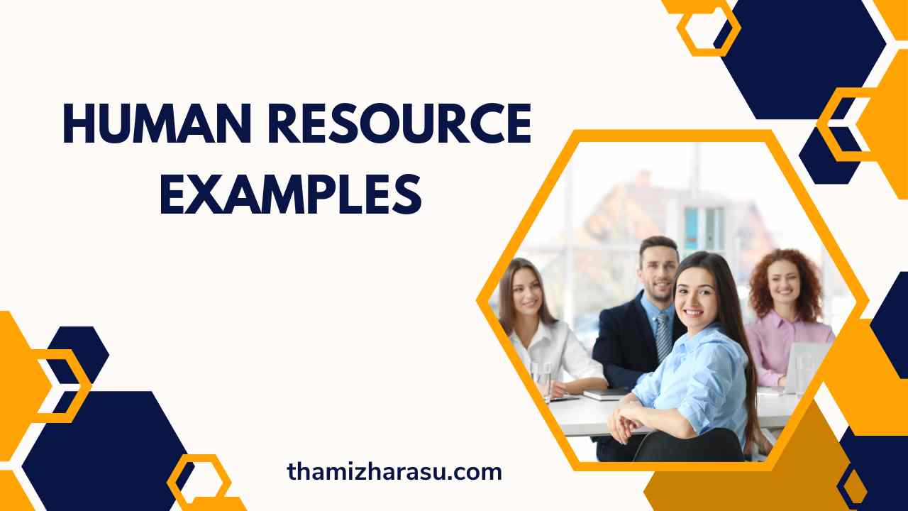 Human Resource Examples An In Depth Look at Best Practices