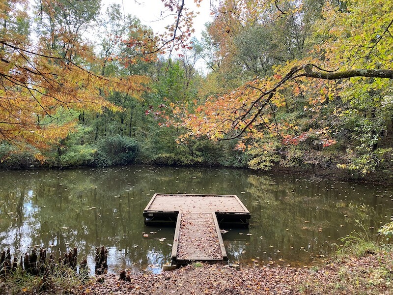 Hiking In a Swamp at Mingo National Wildlife Refuge