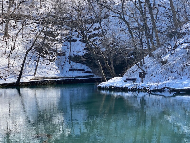 Feeding Trout at Maramec Spring Park