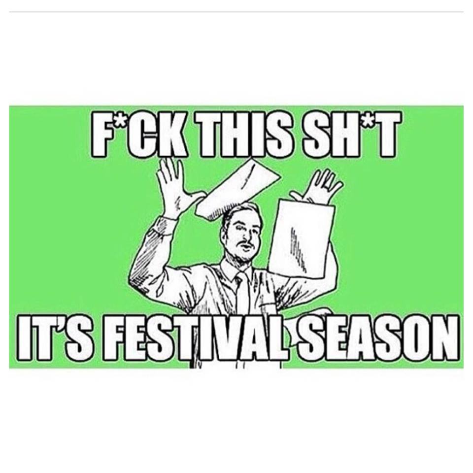 15 of Our Favorite EDM Memes Music Festival Memes