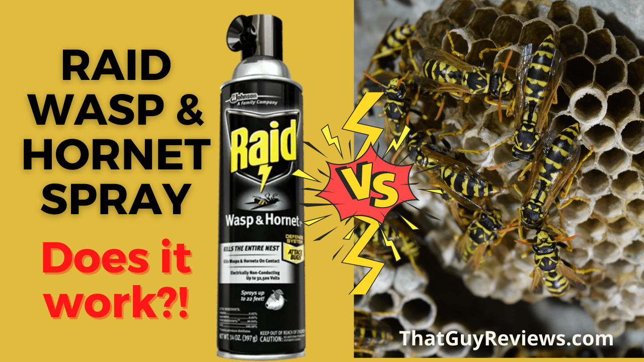 RAID Wasp & Spray Review TGR That Guy Reviews