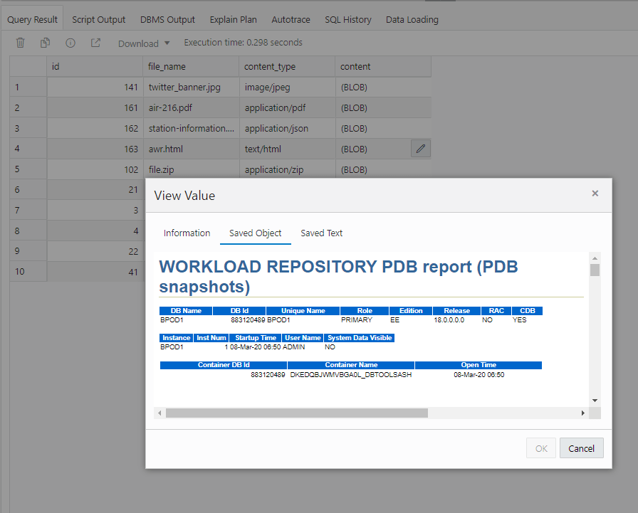 Working with BLOBs in Oracle SQL Developer Web