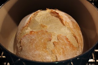 NYT No-Knead Bread Dutch Oven - a unique, easy bread recipe that results in a delicious, rustic loaf with an open crumb No Knead Bread in a Dutch Oven