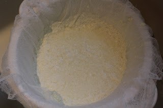 Luscious Ricotta Cheesecake made with homemade ricotta homemade ricotta draining in cheesecloth