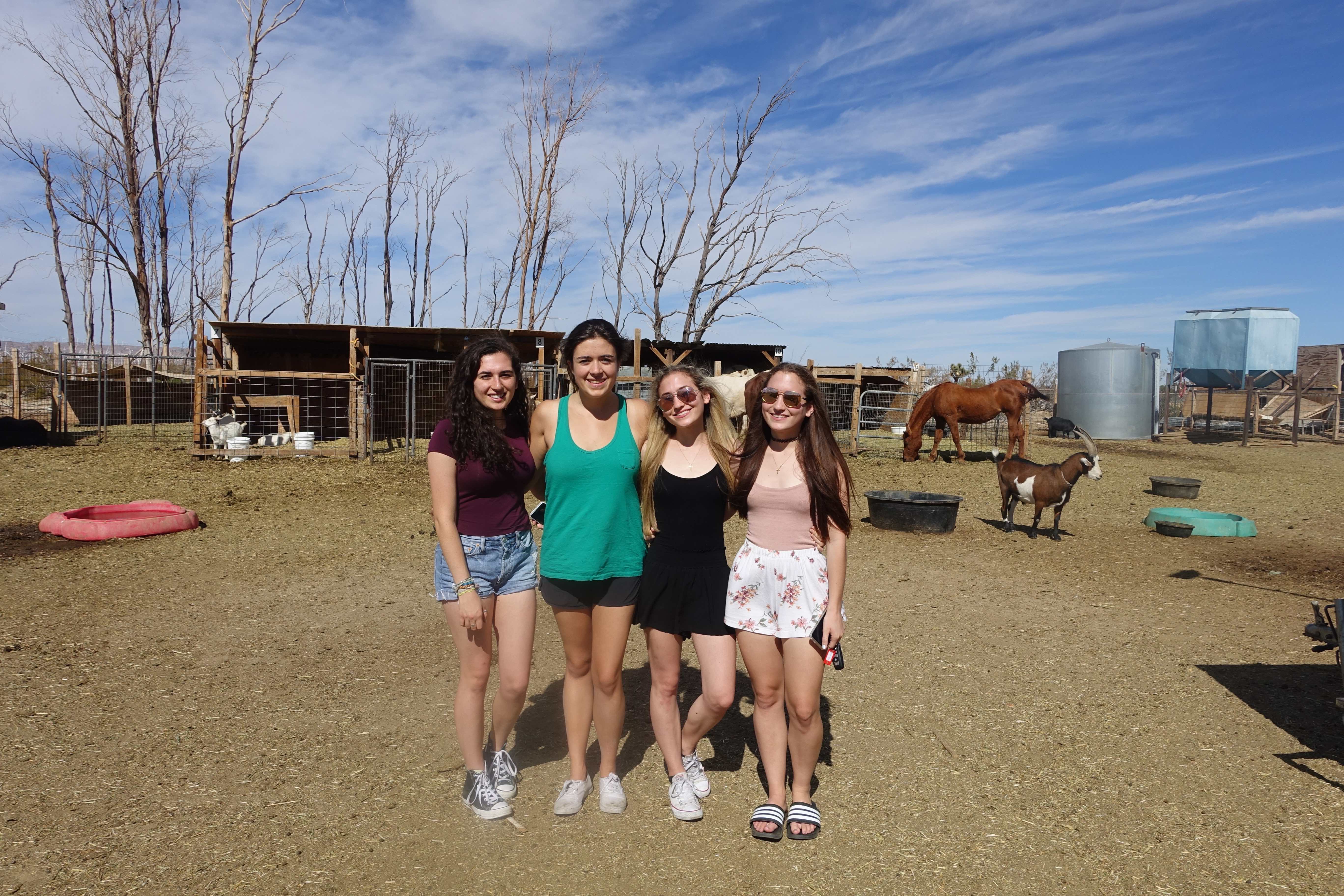 The Sanctuary at Soledad Goats