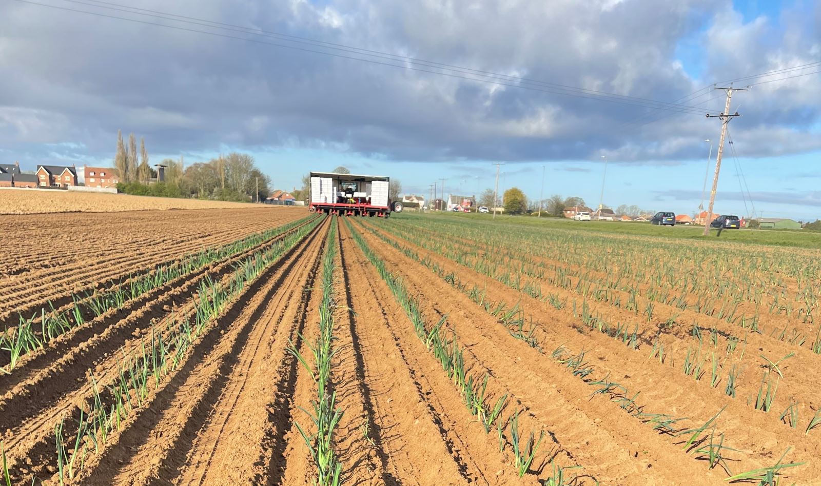 'Weather' we like it or not... T.H. Clements