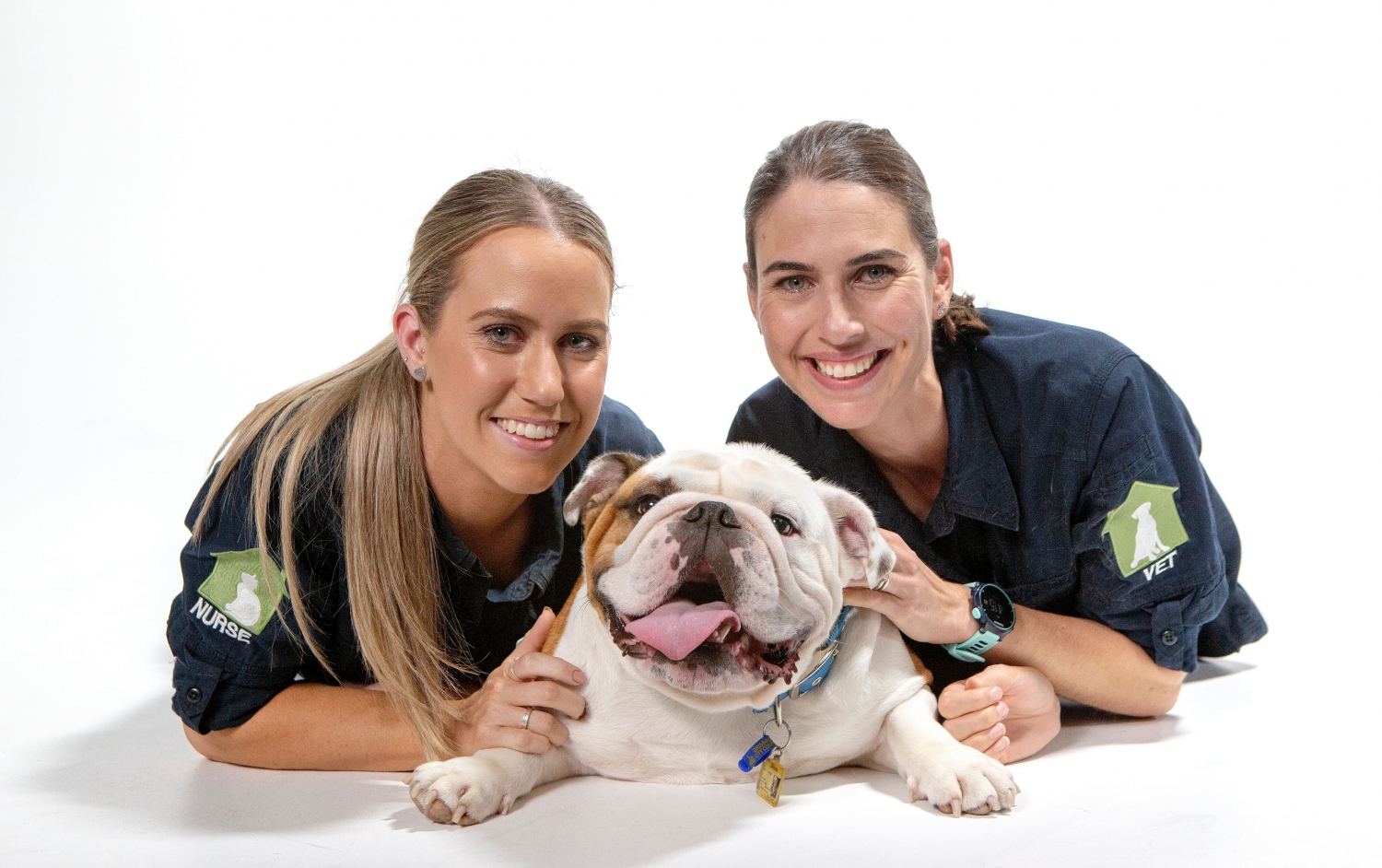 News The House Call Vet Vet Near Me Kenmore Sunnybank Brisbane