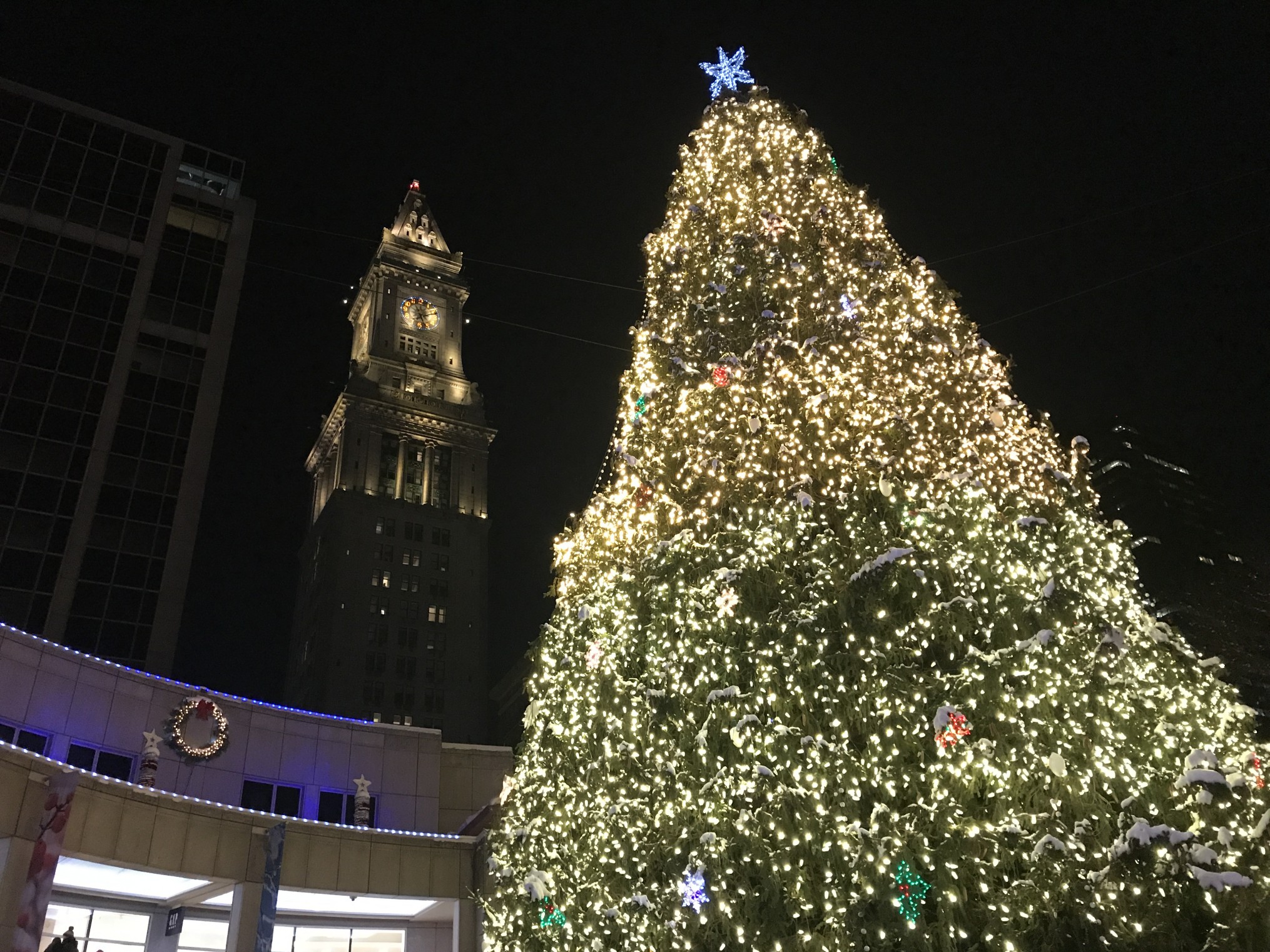 Where to See Holiday Lights in Boston The ALyst A Bostonbased