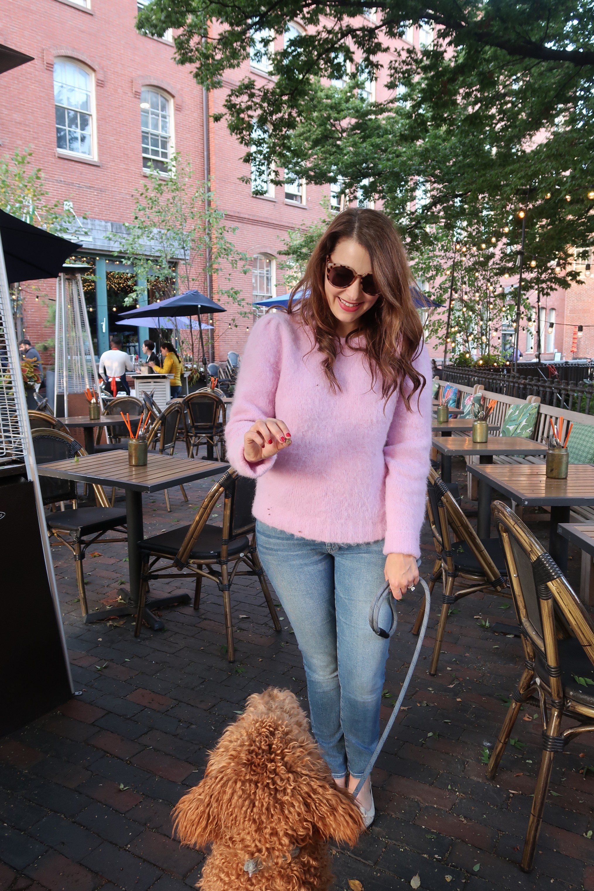DogFriendly Restaurants in Boston The ALyst A Bostonbased