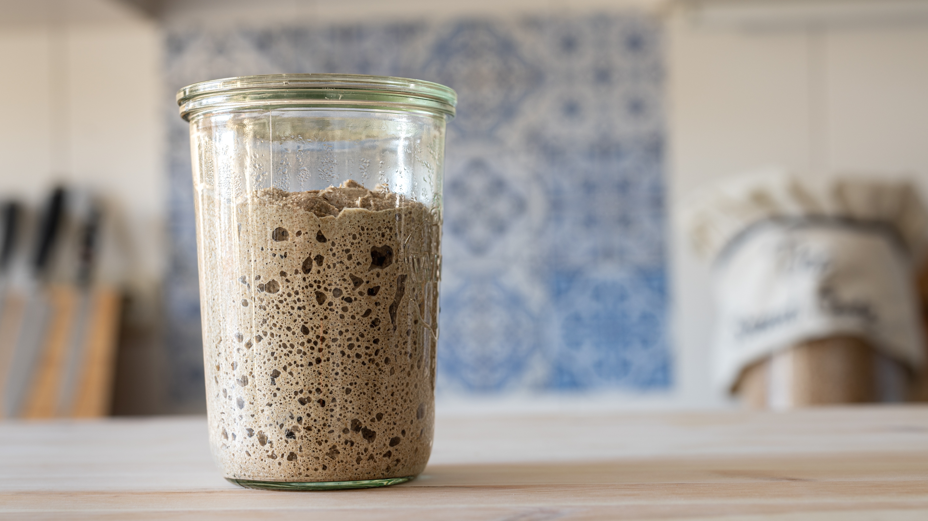 How to Store Your Sourdough Starter (3 options)