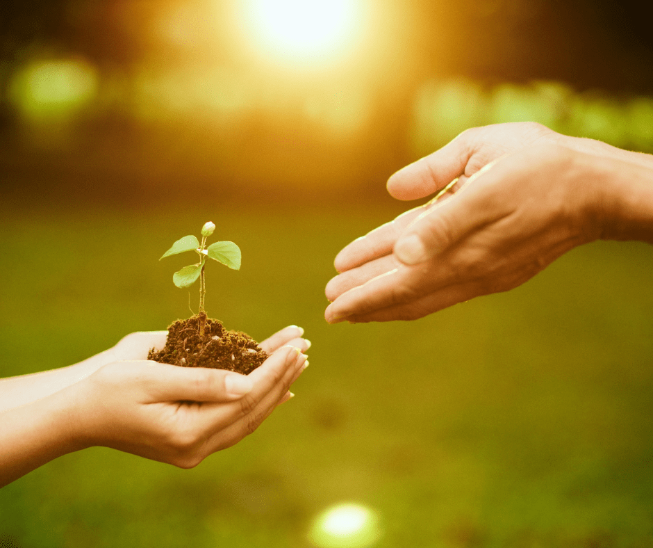 The Cmas Top 7 Dynamic Strategies To Supercharge Growth