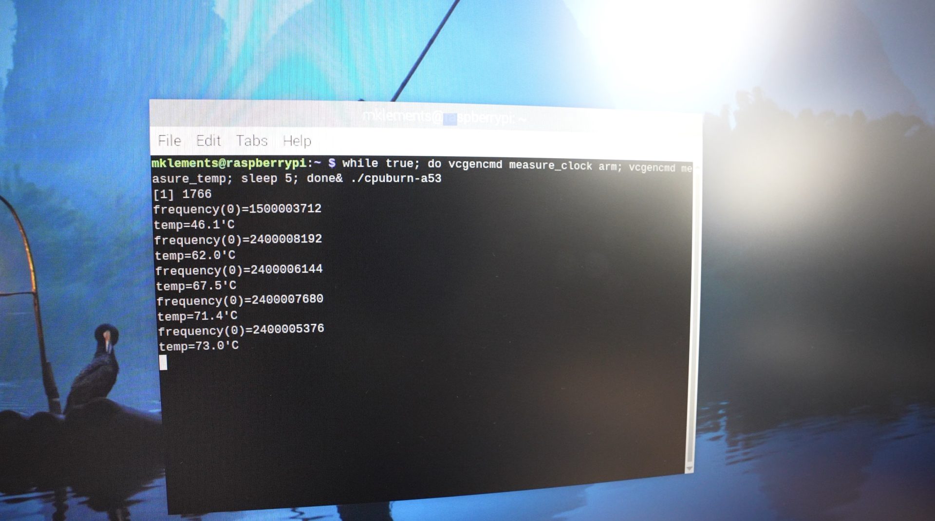 Is It Worth Water Cooling A Raspberry Pi 5? The DIY Life