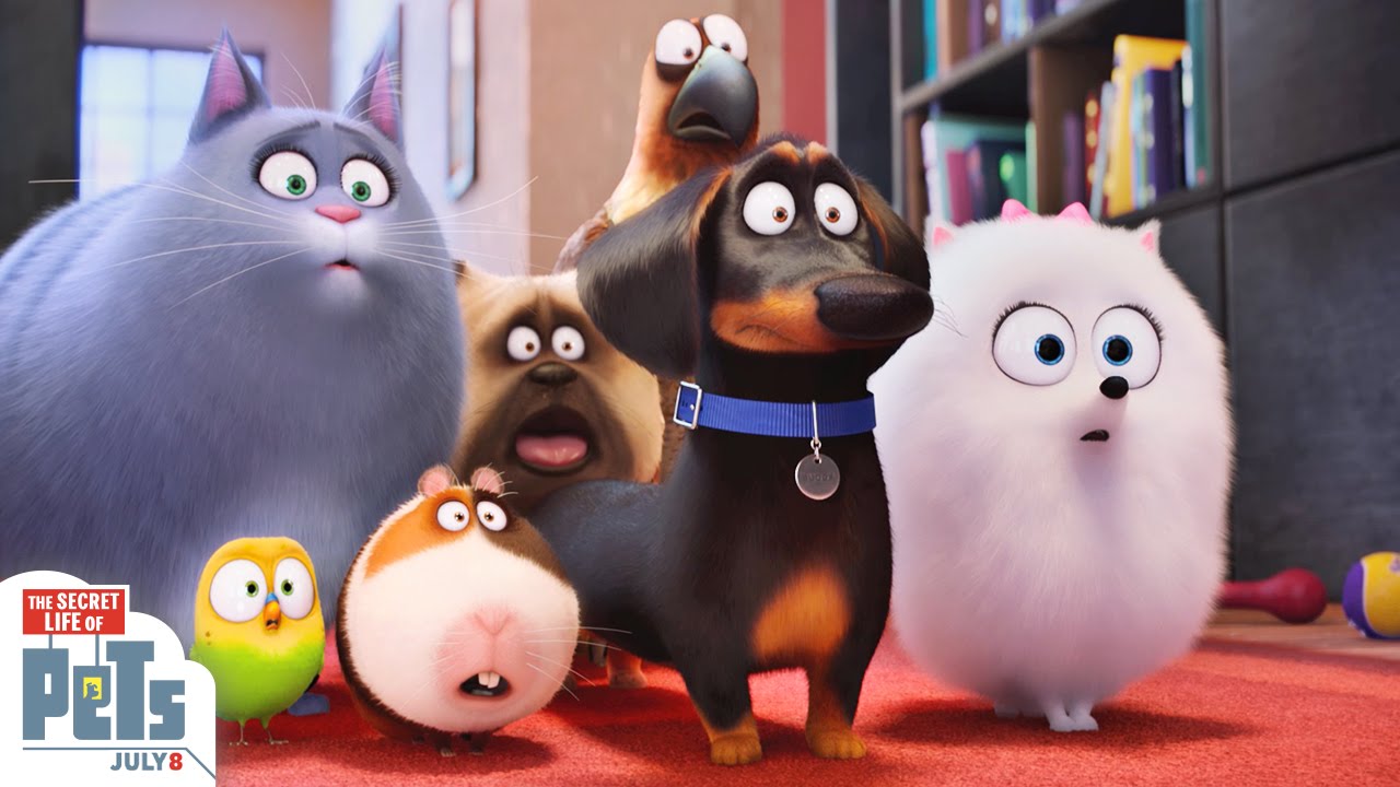 The Secret Life Of Pets Is the Cats Meow At The Box Office While Mike