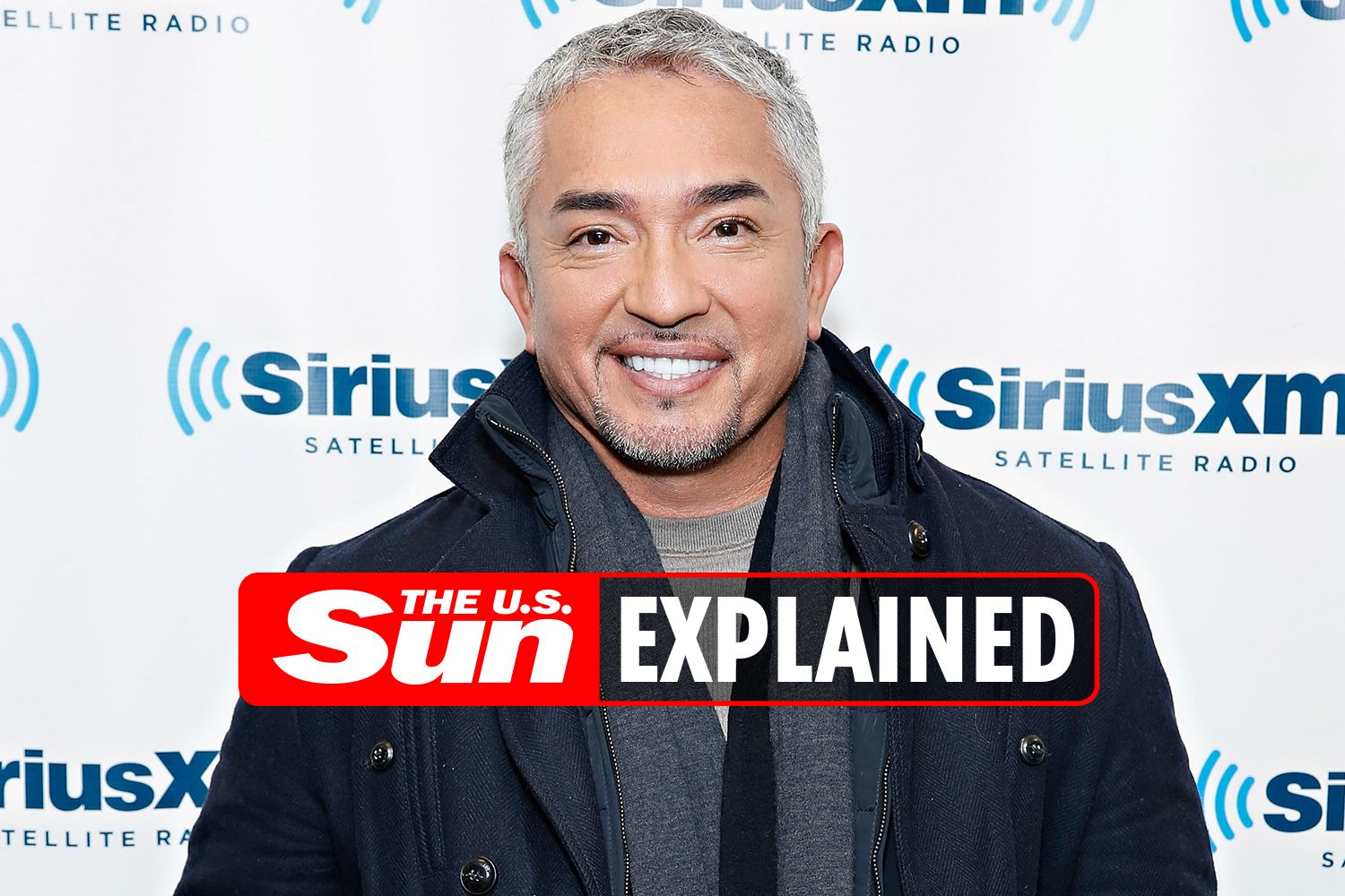 What is dog trainer Cesar Millan's net worth?