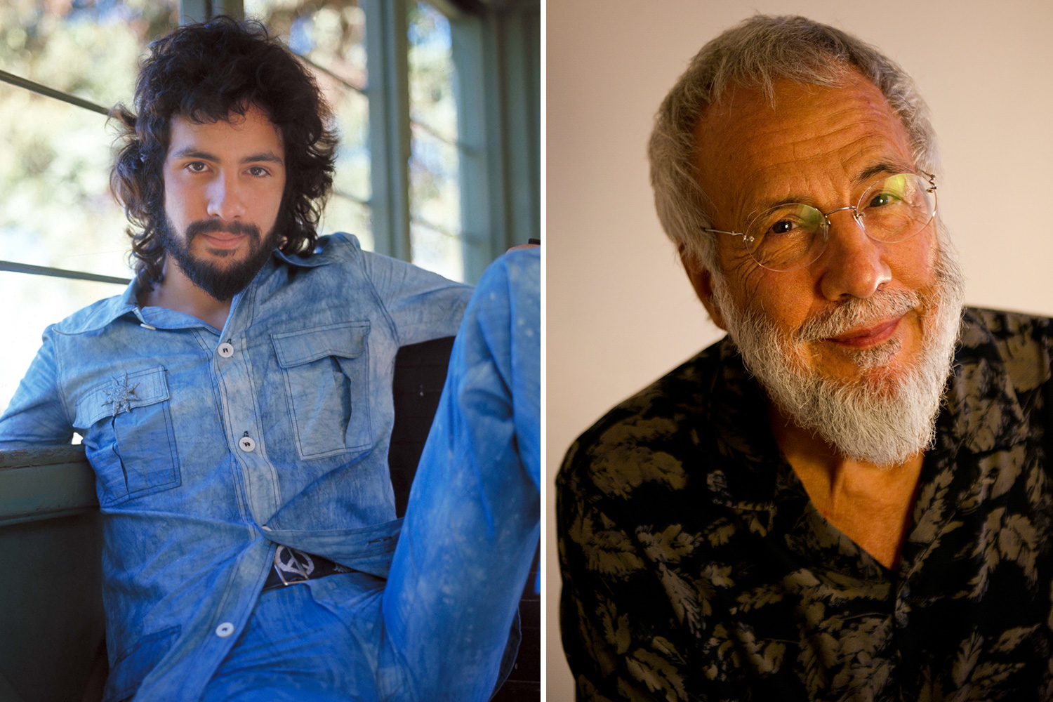 cat stevens and family - Ilustrasi 2