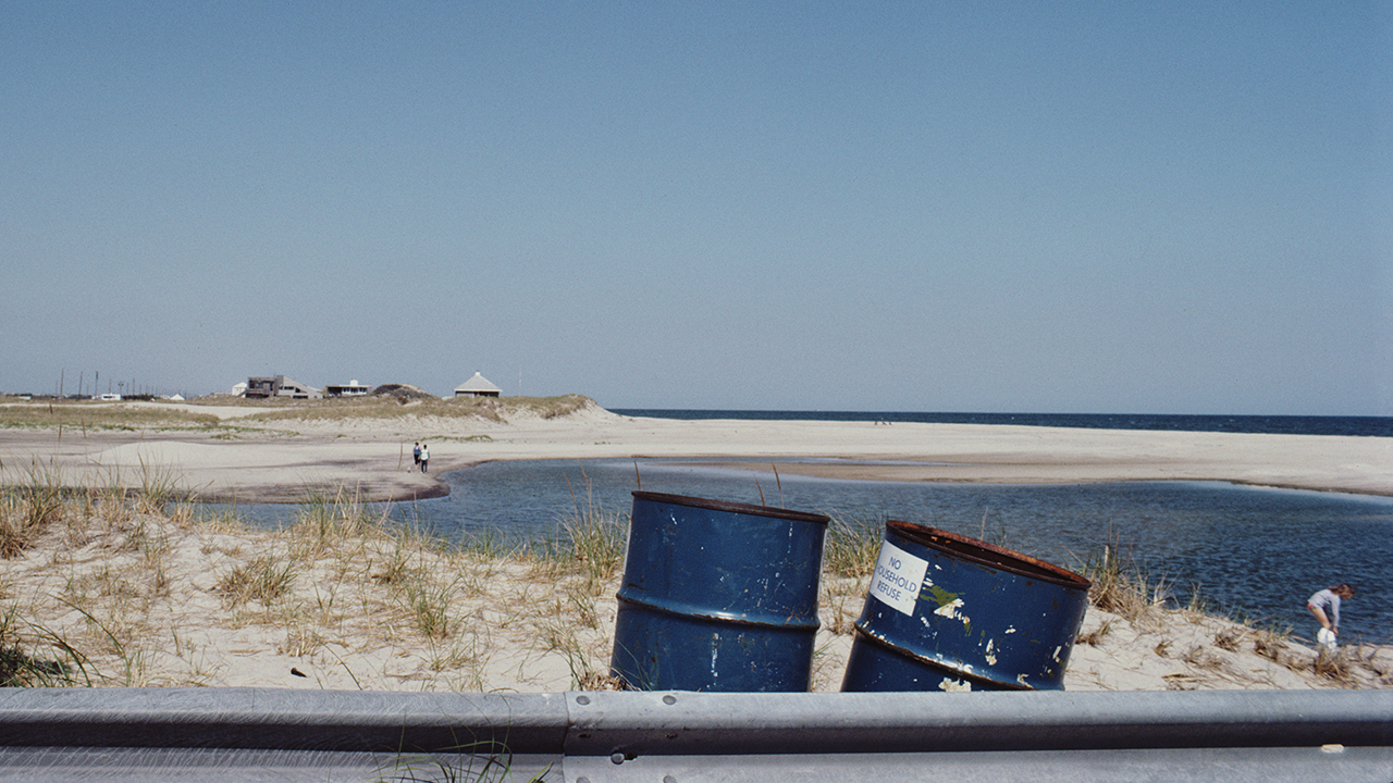 Long Island Compromise by Taffy BrodesserAkner Book review