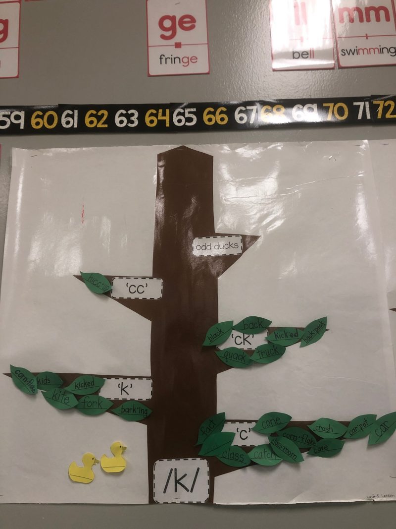 Curriculum Case Study How One District Tackled 38 Reading Proficiency