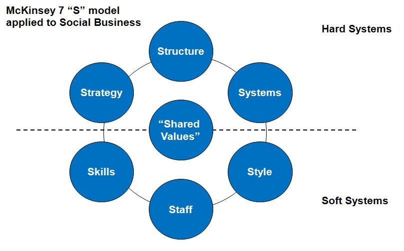 The 7S model where “S” means Social Agile Elephant making sense of