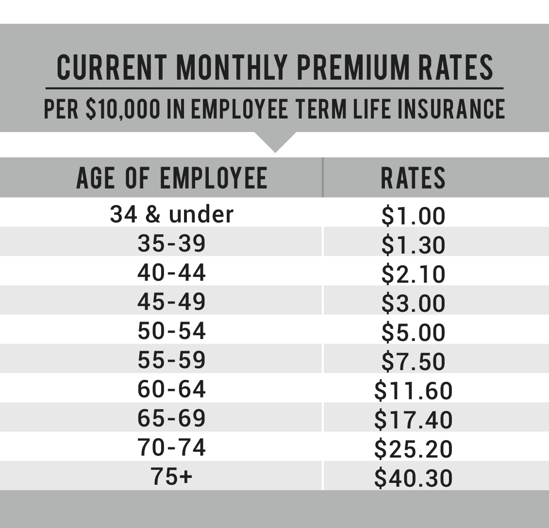 Group Employee Term Life & Accidental Death and Dismemberment (AD&D