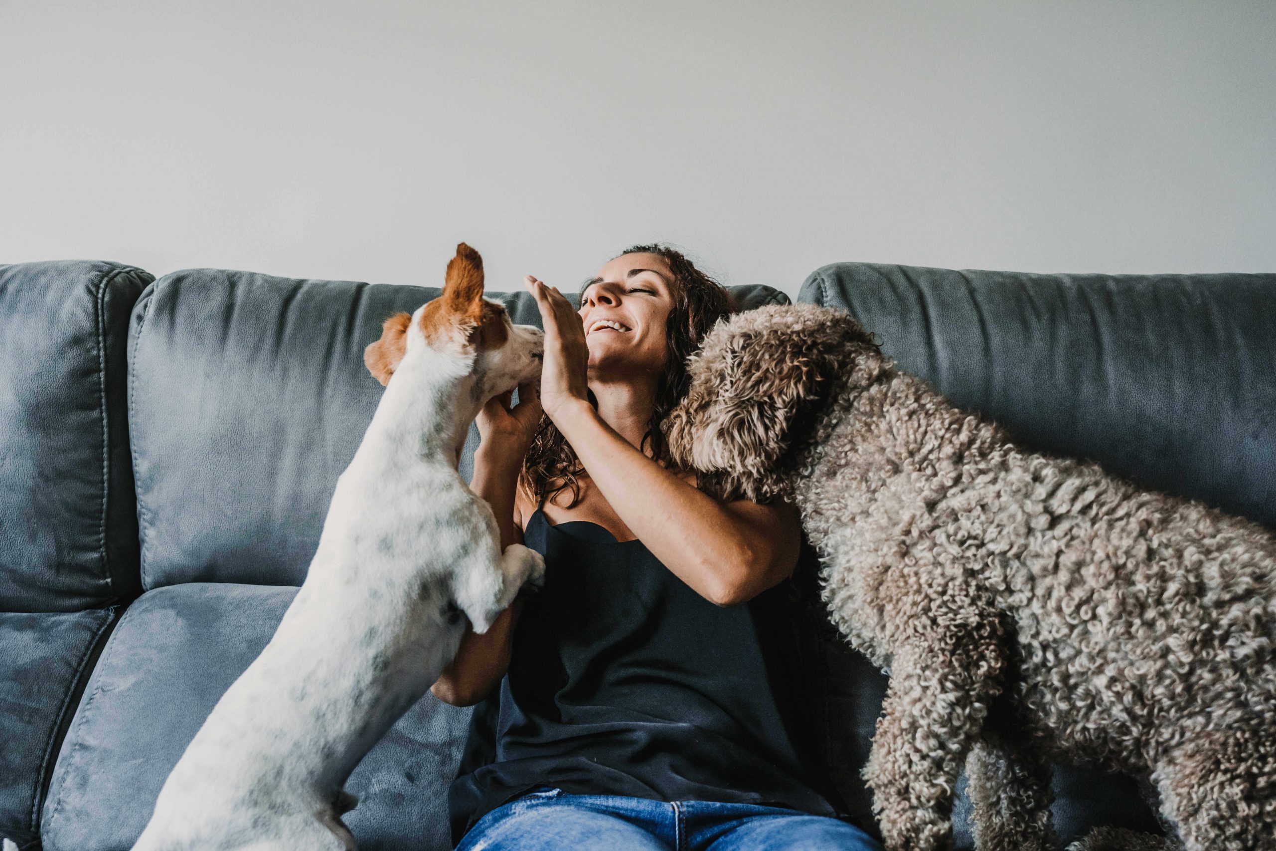 How to get pee smell out of your couch once and for all! Analytical