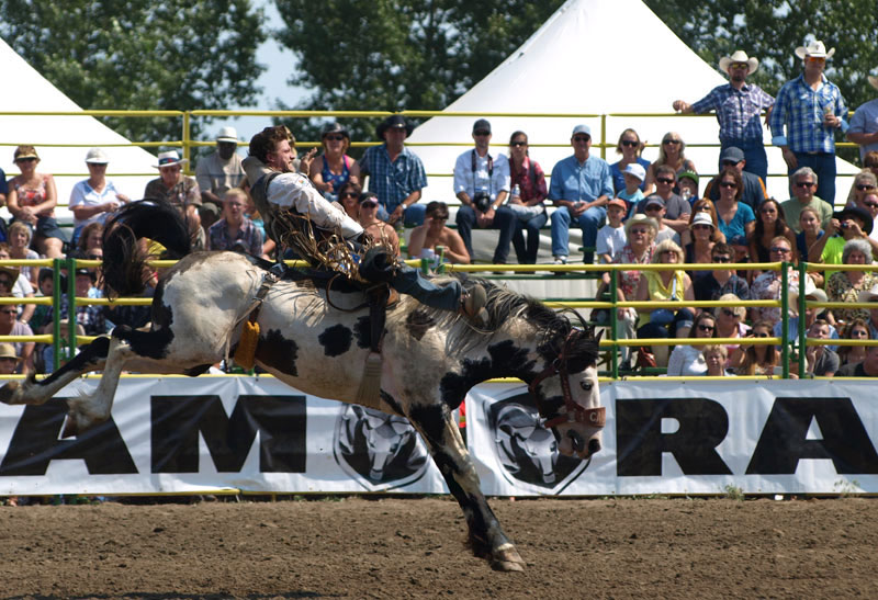 Strathmore Rodeo 2014 The Chestermere Anchor