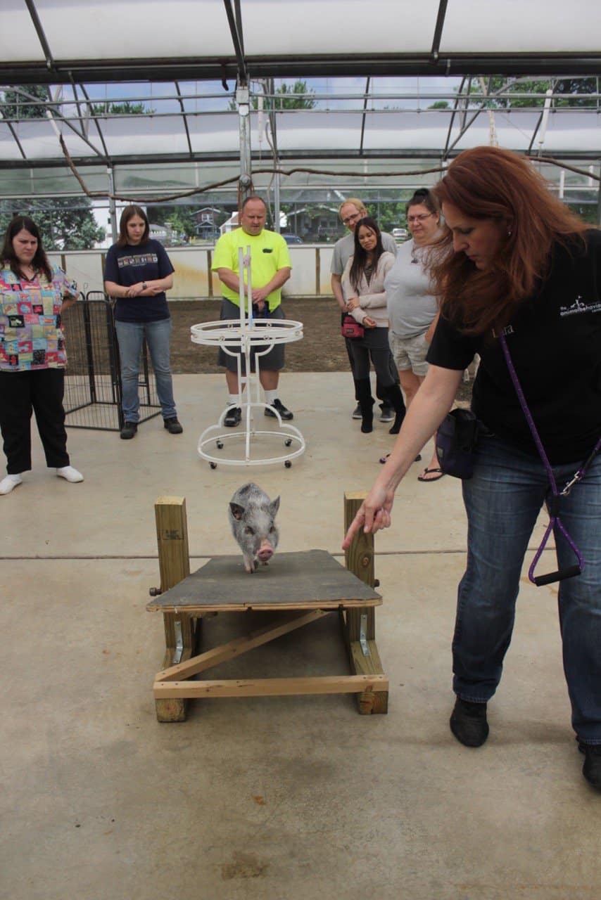 Animal training & behavior designed for your group The Animal Behavior Center