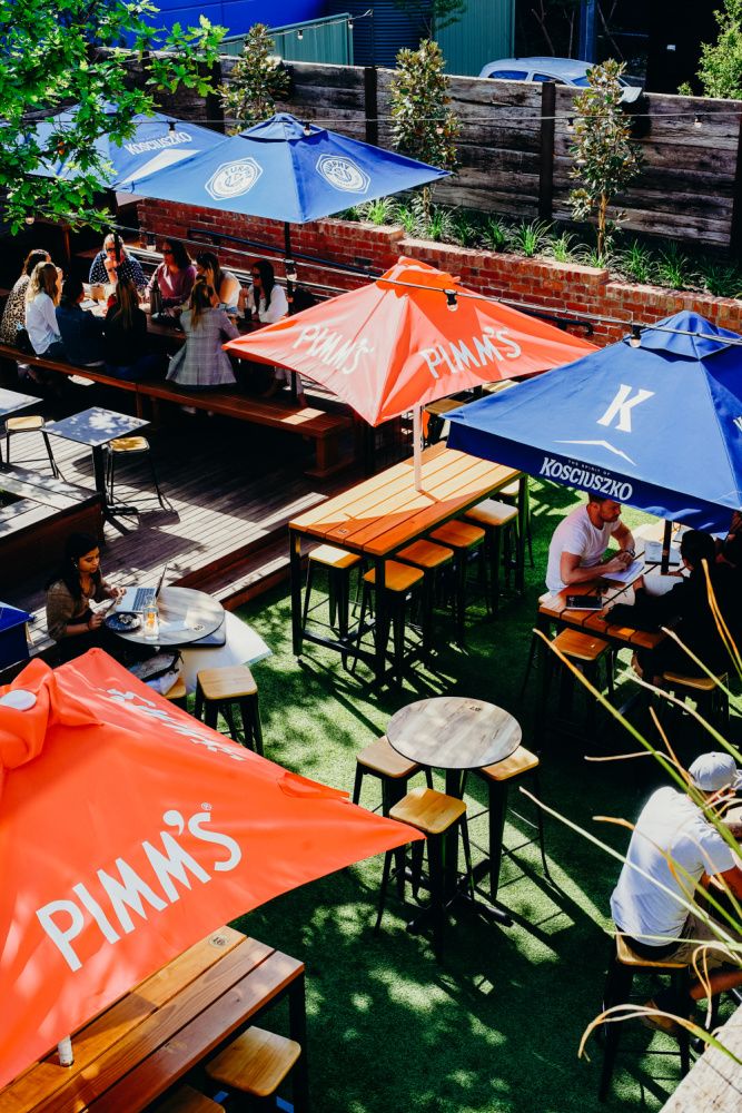 A Dog Friendly Guide Where to Eat and Drink in Canberra The Annoyed