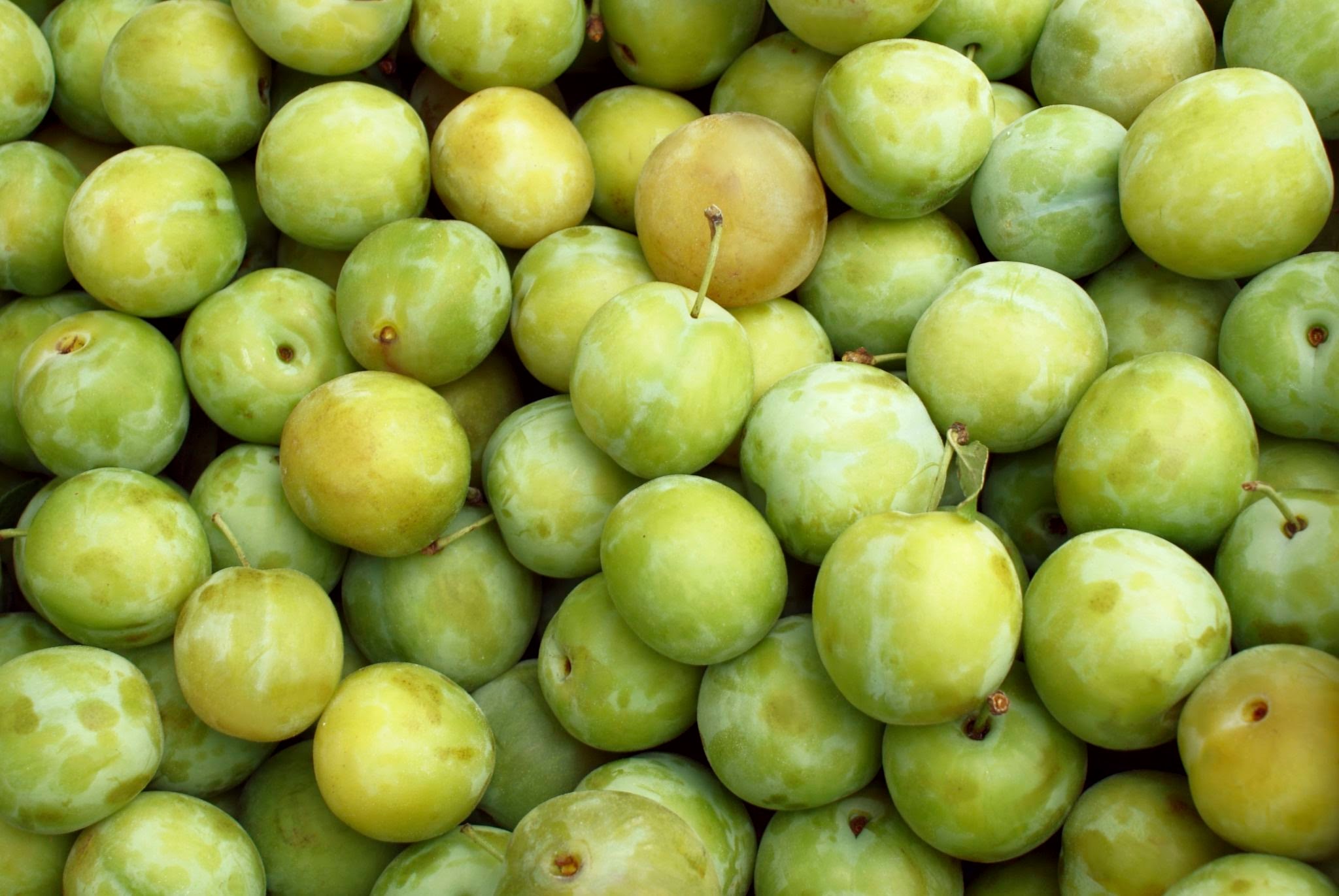 What is the Sweetest Plum Variety? The Arches