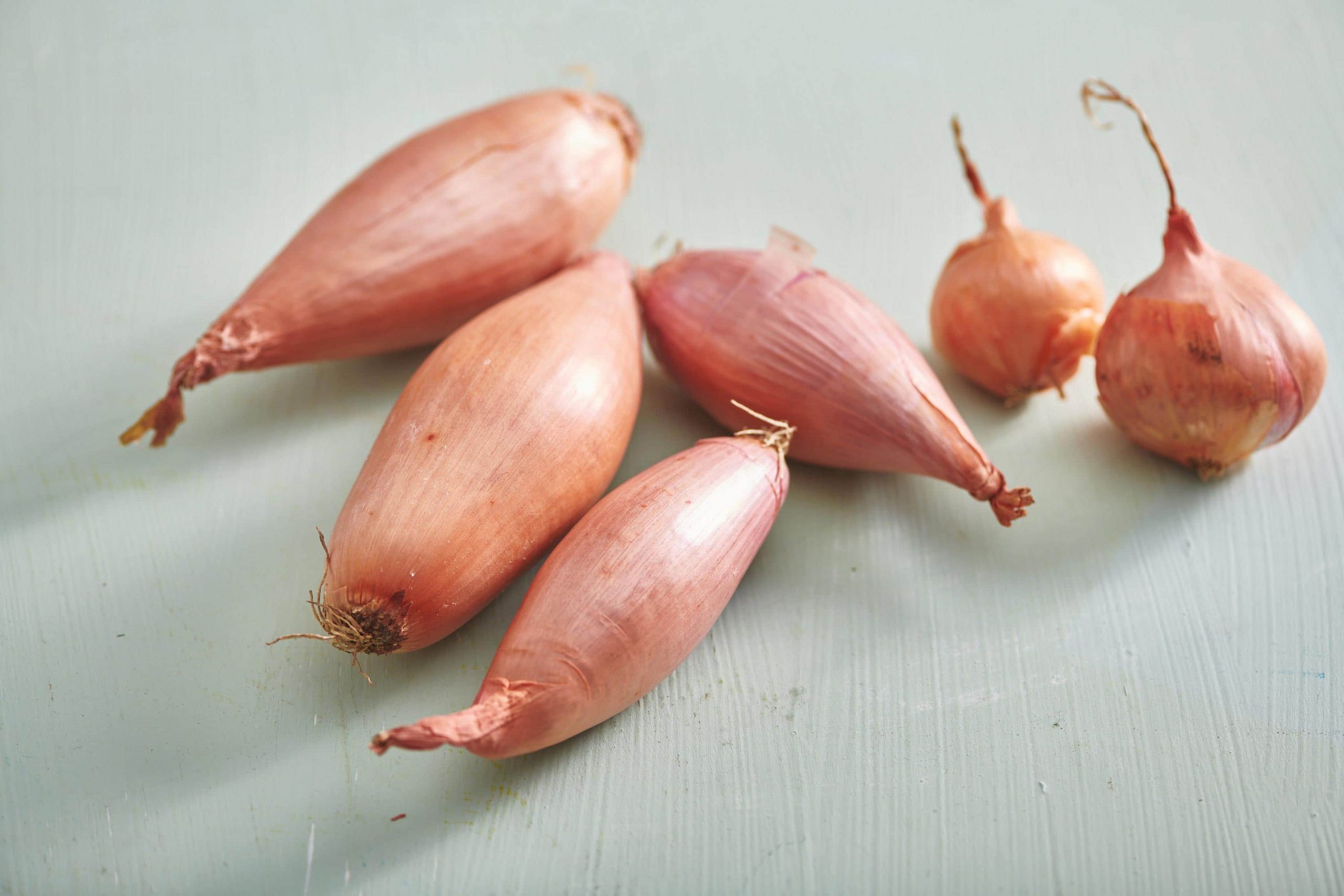 Grow your Own Shallots with these Simple Steps! TheArches