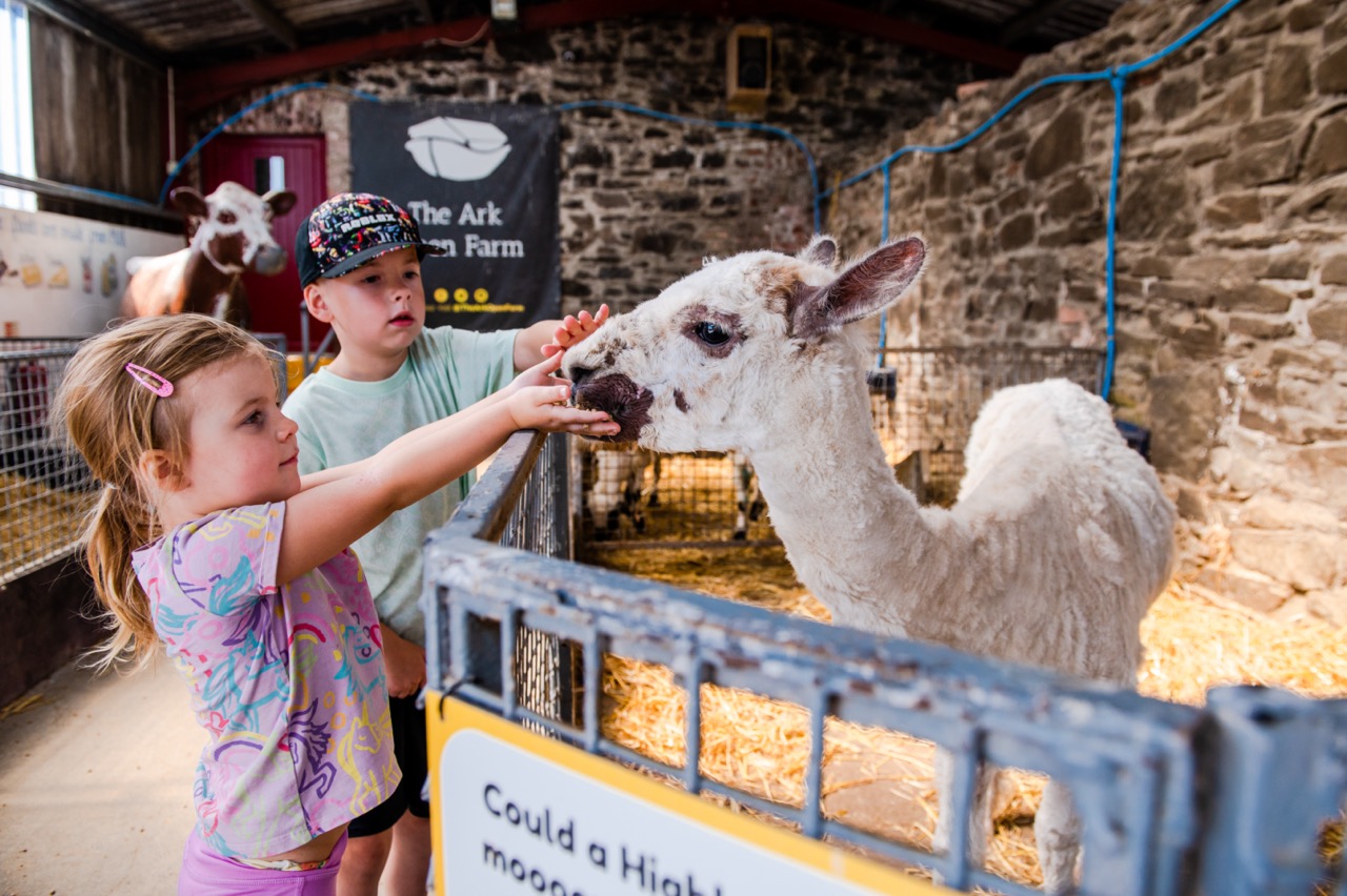 Family day out in Northern Ireland Fun activities The Ark Open Farm