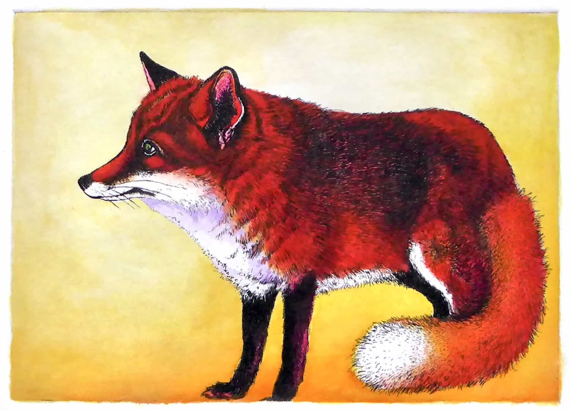 Fox Waiting by Viviane De Kosinsky The Art League