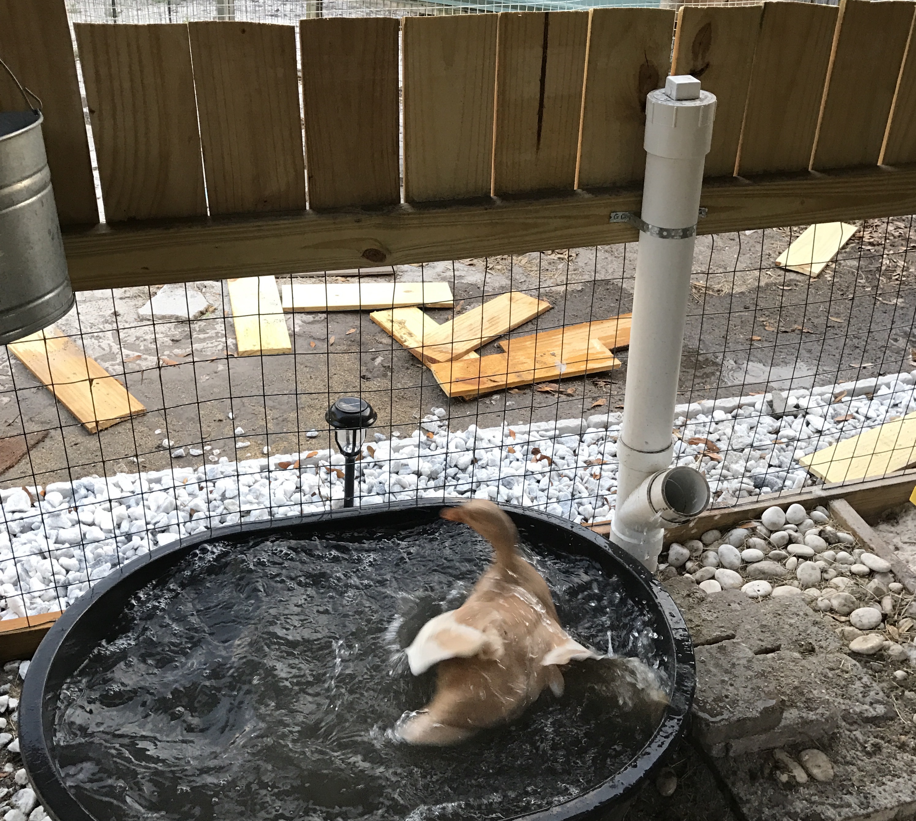 The best chicken feeder in the world.The Art of Doing Stuff