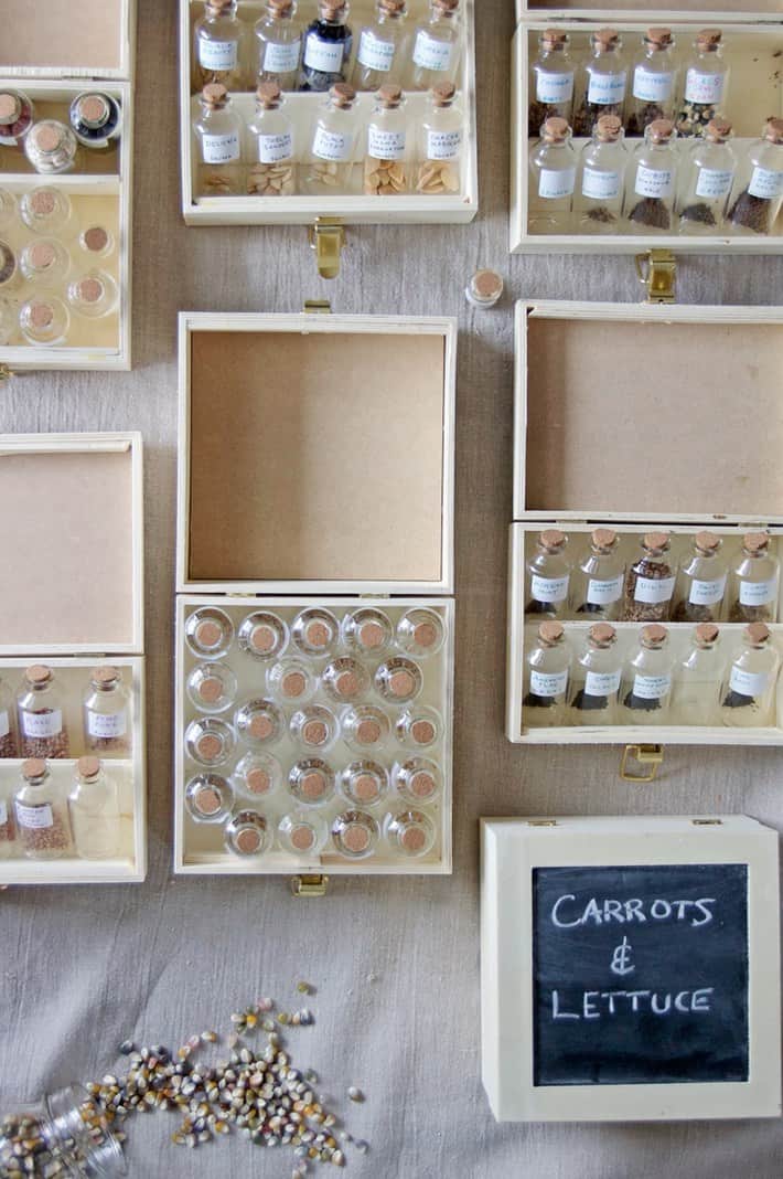 Seed storage. DIY box kits for storing vegetable seeds.