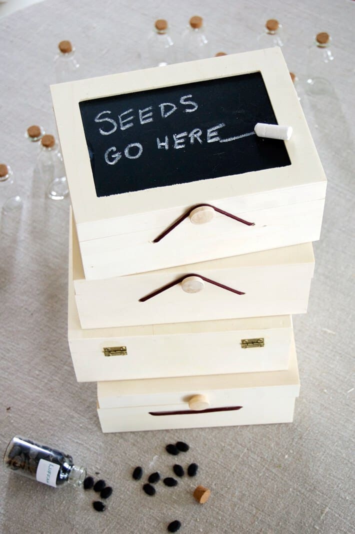 Seed storage. DIY box kits for storing vegetable seeds.