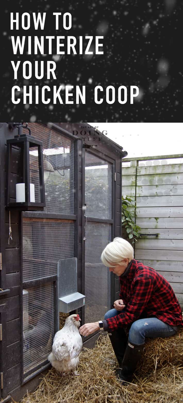 How To Make Chicken Coop Winter at Nicholas Walker blog
