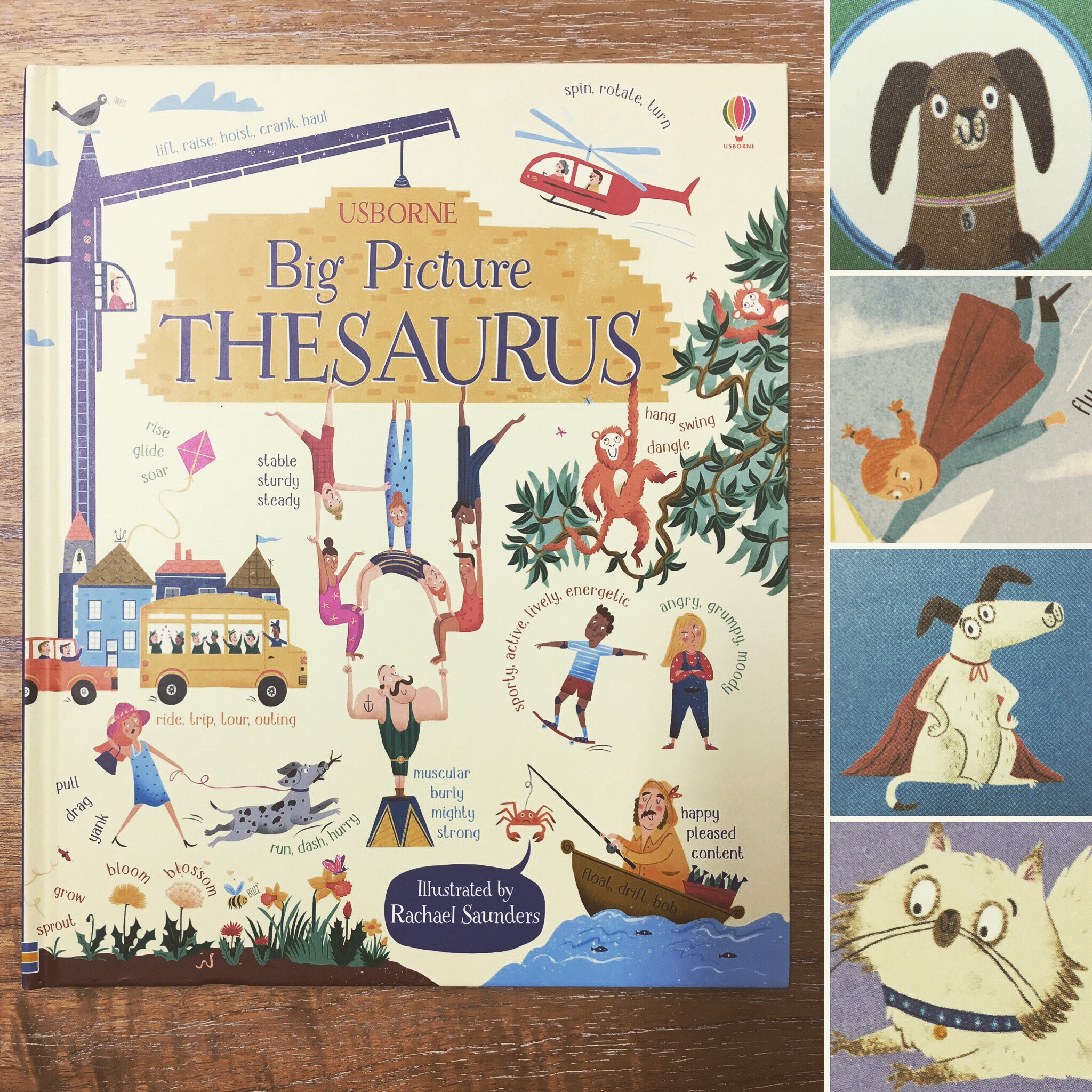 Osborne's 'Big Picture Thesaurus' illustrated by Rachael Saunders The Artworks Illustration Agency