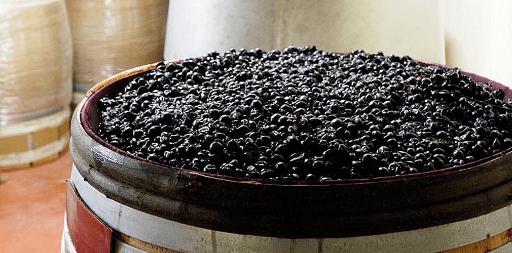 Winespeak 101 Carbonic Maceration